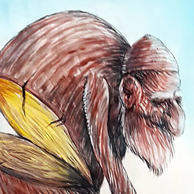 راهیابی آثار کارتونیست‌های تبریزی به نمایشگاه بین‌المللی کارتون در ترکیه